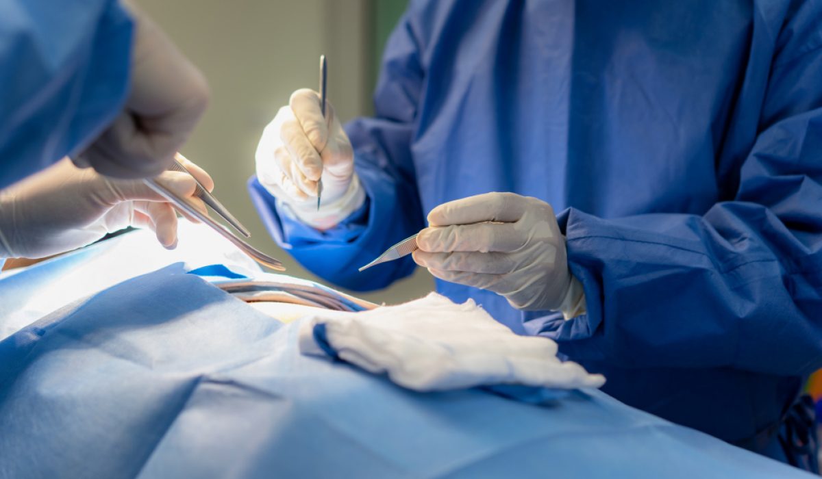 EN-B-GS-CN1-V81_20260109_161917_v1