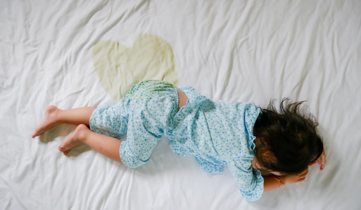 EN-B-GS-CN2301-V23_20251025_180525_v1